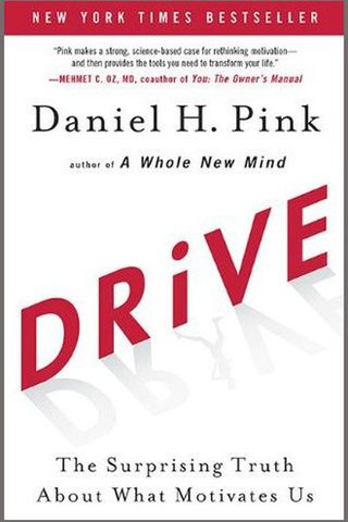 Drive cover