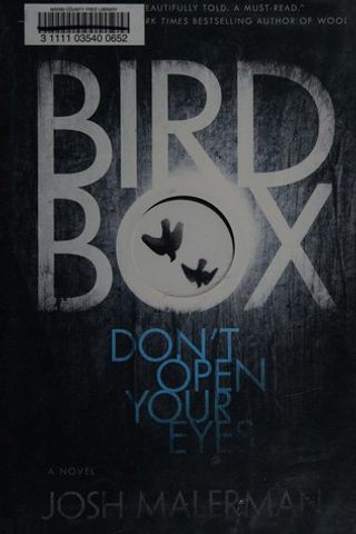 Bird Box cover