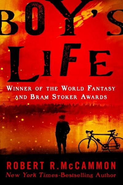 Boy's Life by Ali Novak book cover