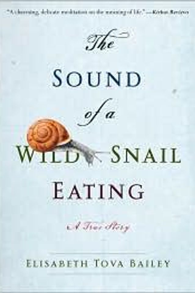 The Sound of a Wild Snail Eating cover