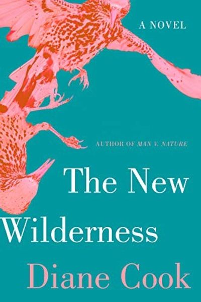 The New Wilderness by Diane Cook book cover