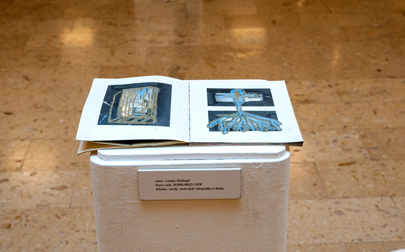 Borrowed View — Lamija Halilagić