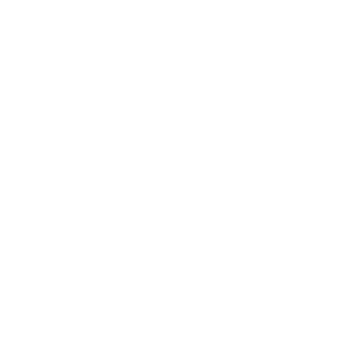 Bodema Logo