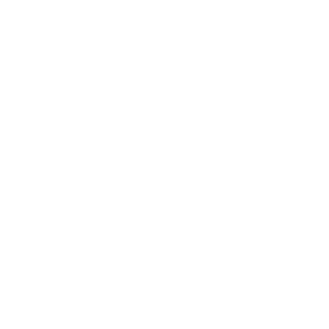luiz beds Logo