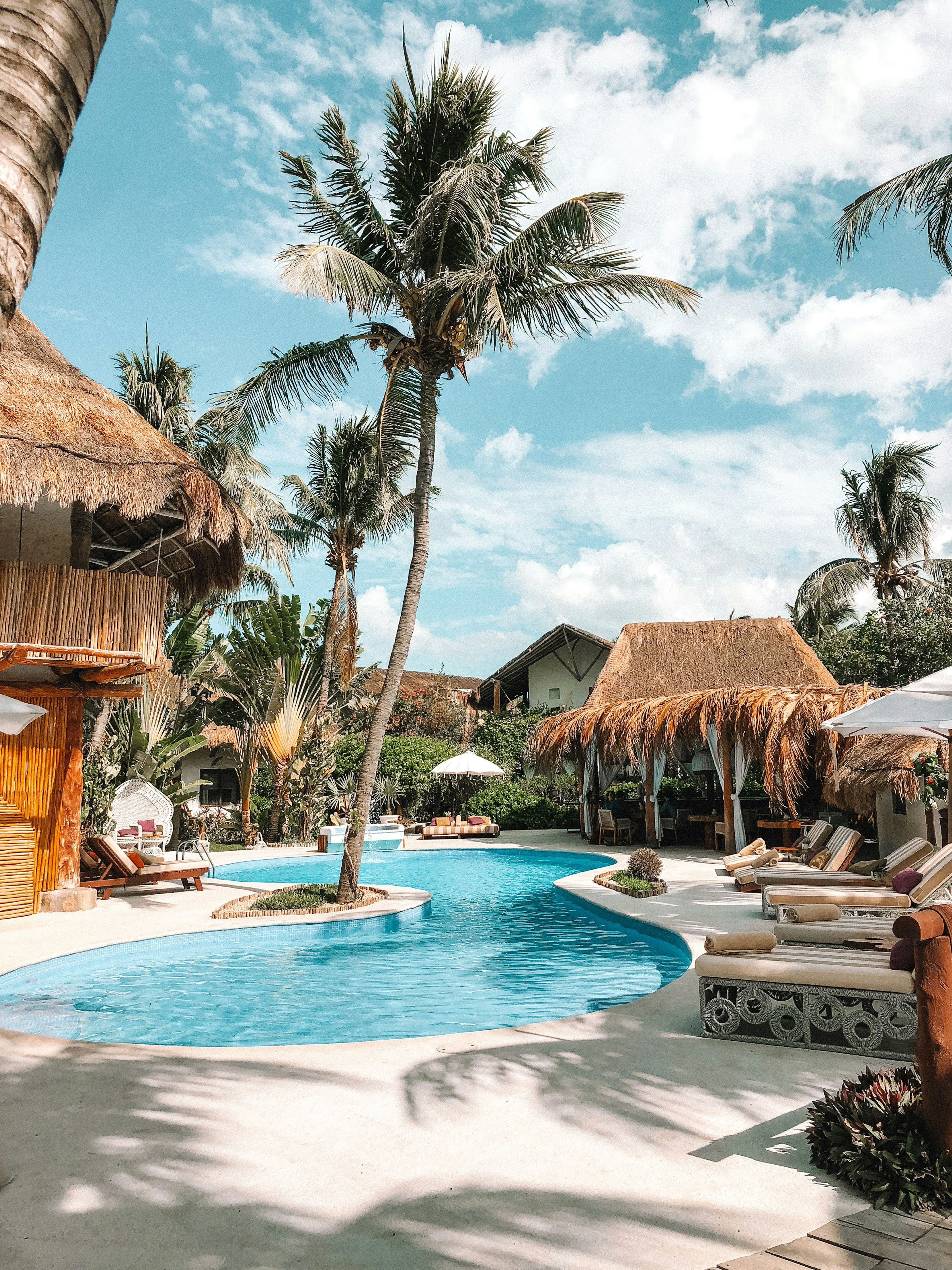 Lagoon pool with thatched sala and palm trees