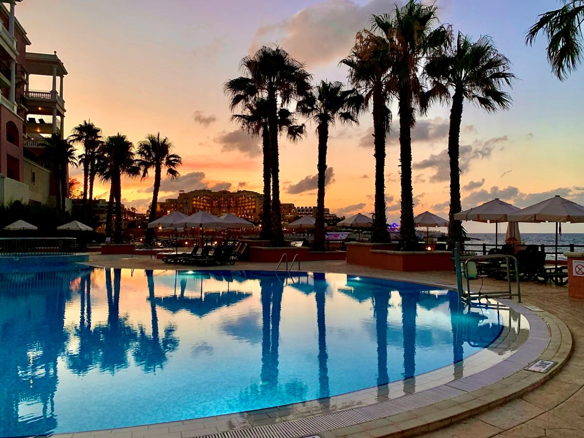 Pool reflecting palm trees at sunset