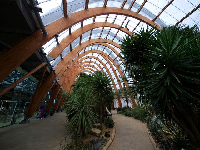 Curved glulam timber arch structure inside Sheffield Winter Gardens