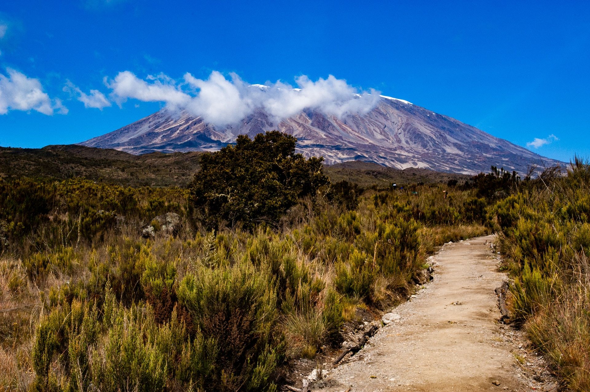 Myths and Misconceptions about Kilimanjaro: Debunking the Hype and Setting the Record Straight