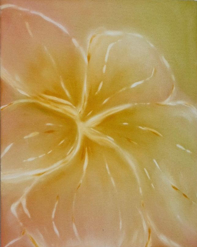 Sunrise Frangipani 01 – 2 of 3