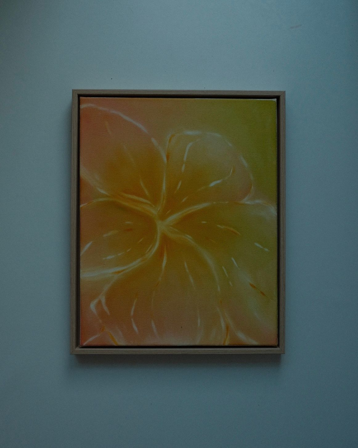 Sunrise Frangipani 01 – 3 of 3