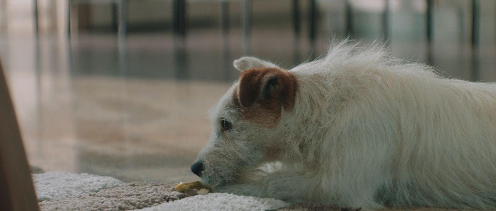 Still from Family Hub for Samsung