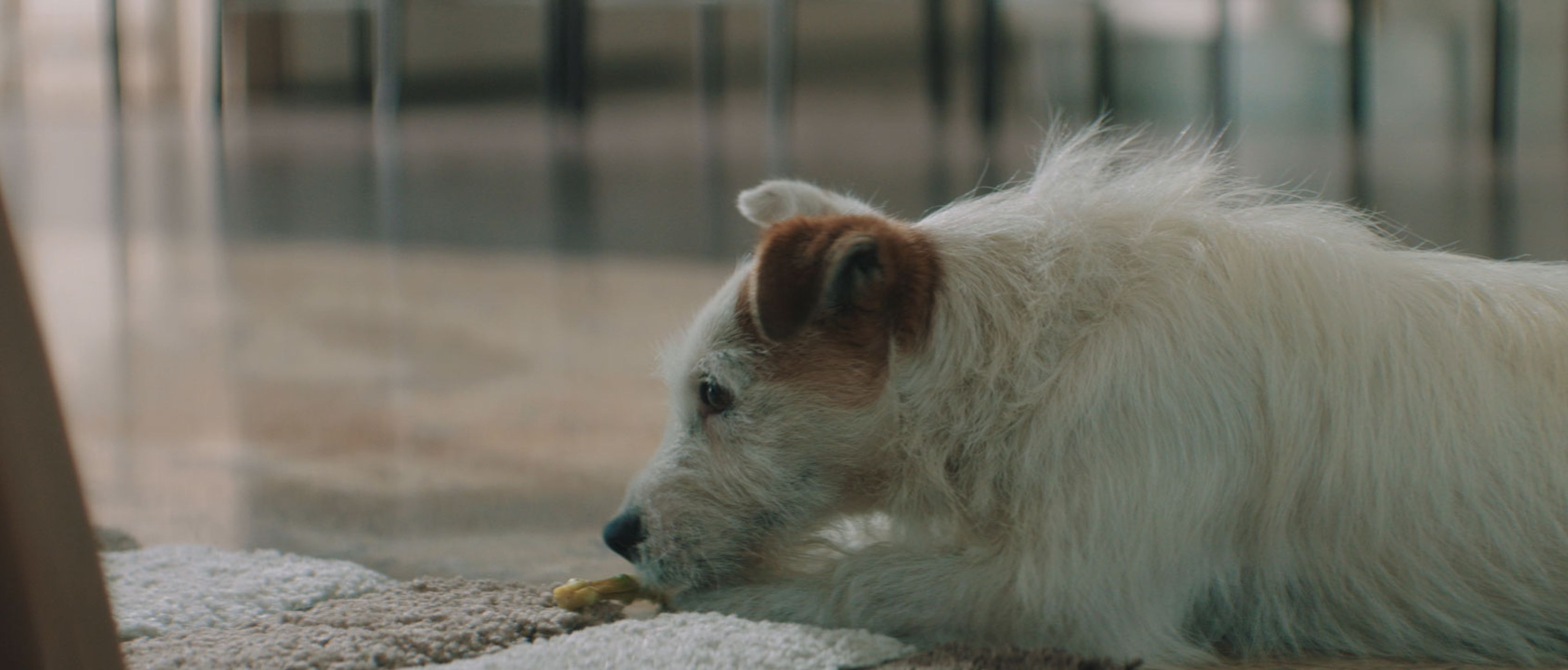 Still from Family Hub for Samsung