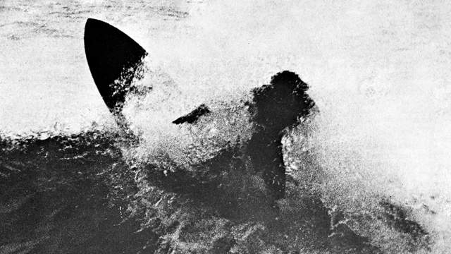 Shane Surfboards teamrider and shaper Peter Cornish, 1969