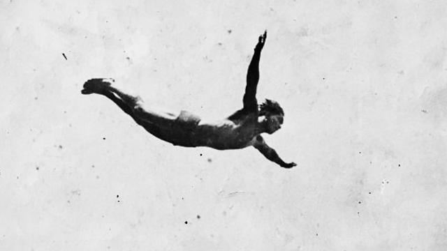 Diver. Photo: AR Gurrey