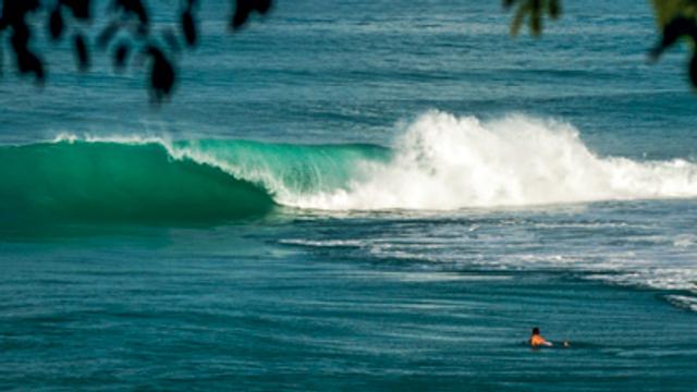 Barbados. Photo: Trevor Moran