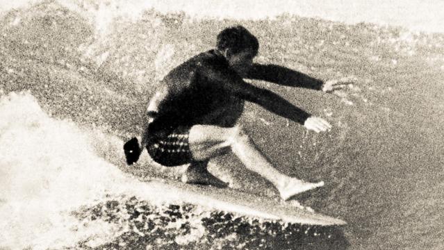 Flight of the Beavertail