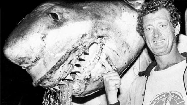 Aussie shark hunter Bob Woodcock, 1981