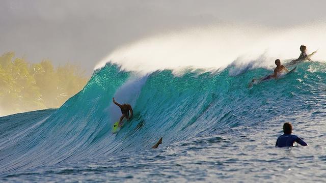 Dane Gudauskas, Pipeline