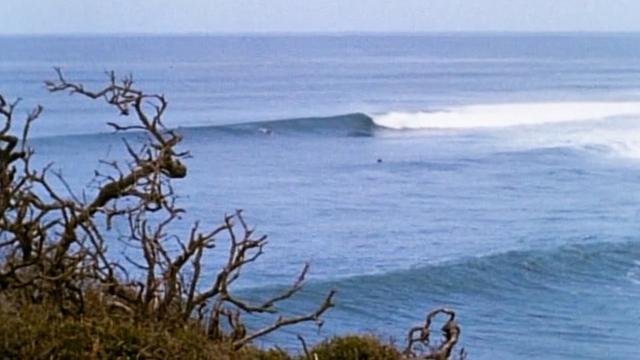 Bells '63, from "Endless Summer"