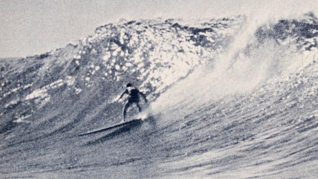 Mike Doyle. Photo: Val Valentine