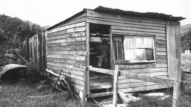 Shaping shed, 1971. Photo: Alby Falzon