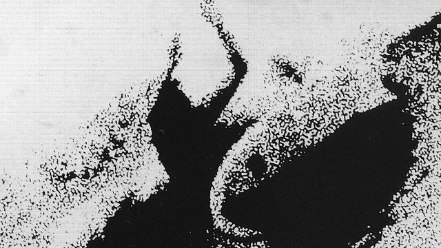 Detail from the Evolution handbill