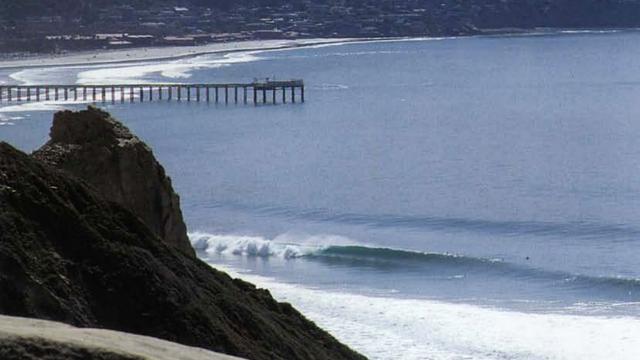 Black's Beach in San Diego, California.