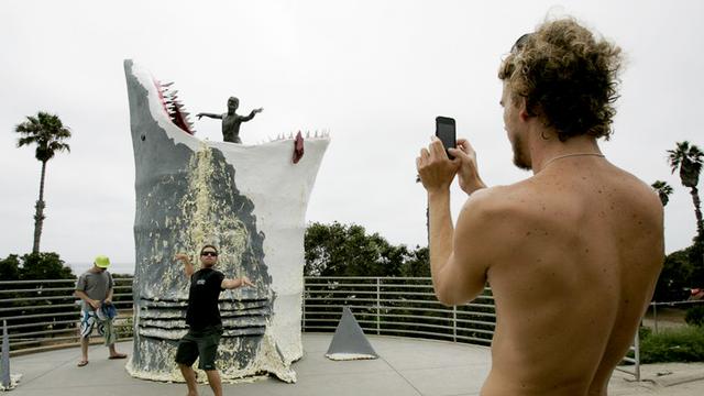 Cardiff Kook meets 'Jaws'