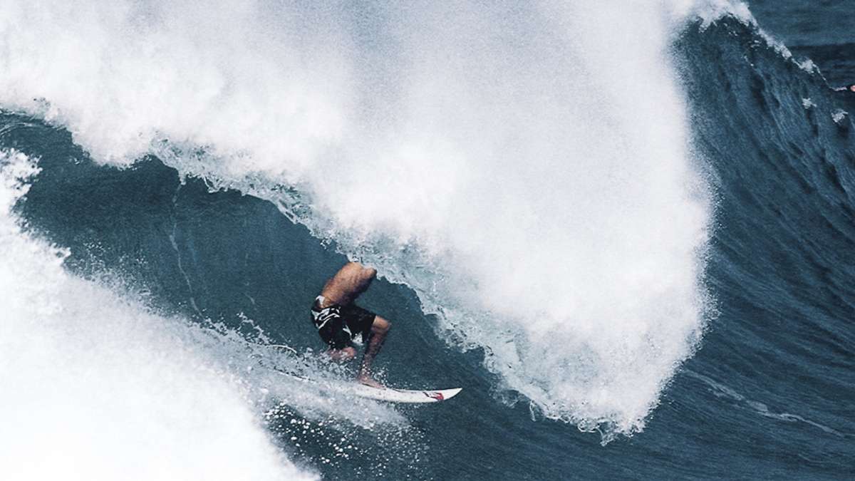 Backdoor Encyclopedia Of Surfing backdoor-encyclopedia-of-surfing