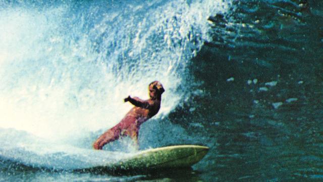 Bill Hamilton, 1968