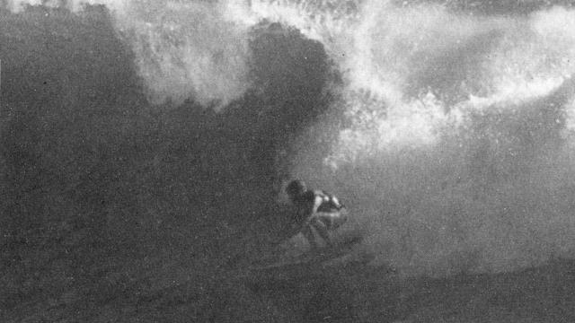 Corky Carroll. Photo: Bill York