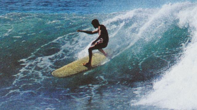 Bobby Brown, Sandon Point, 1967