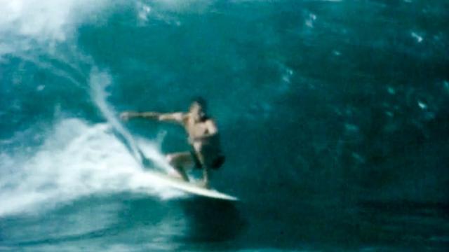 Hobie Alter