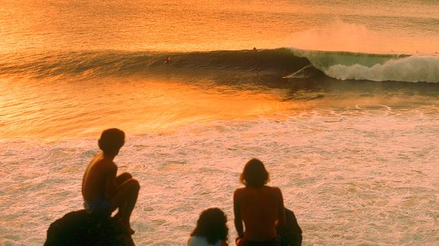 Honolua Bay, Maui. Photo: Dana Edmunds