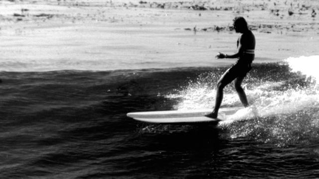 Joyce Hoffman