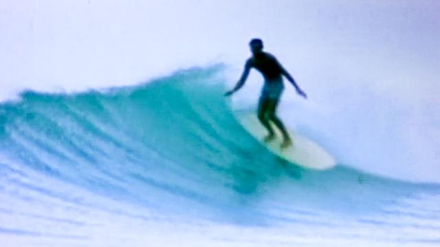 Wayne Parkes
