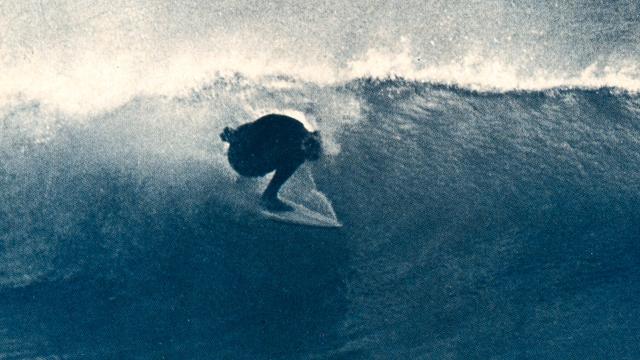 Ode to the Head Dip