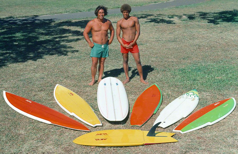 sting, stinger | Encyclopedia of Surfing