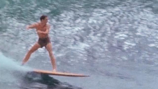 1963 stinkbug from "Endless Summer"