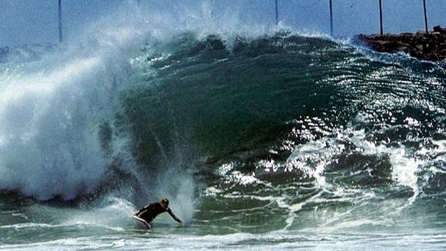 Ron Romanosky, the Wedge
