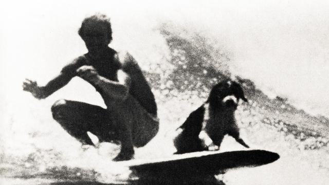 Dave Chalmers and Max the Dog, 1974