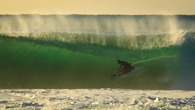 Simon Farrer, Sydney. Photo: Troy Simpson