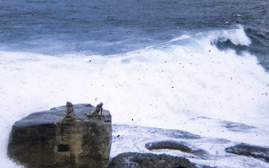 bondi beach mermaids