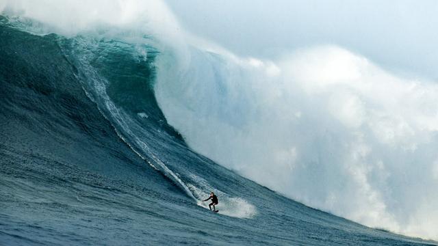 Tafeberg, Cape Town, 2008. Photo: Rob Brown