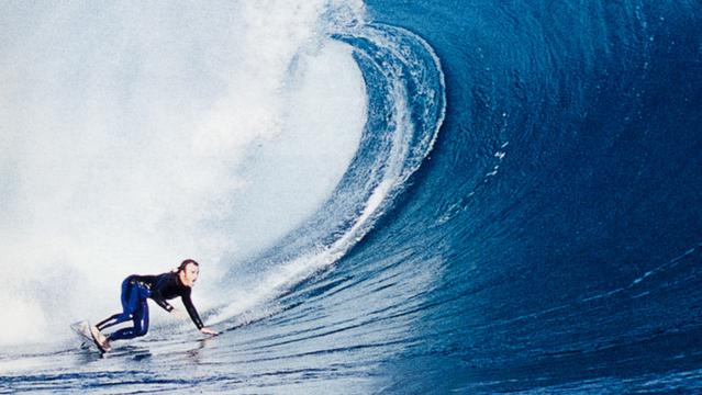 Dave MacAulay, 2001