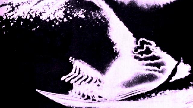 Scene from "Pacific Vibrations," 1970