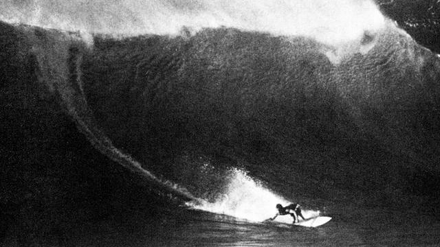 Reno Abellira. Photo: Steve Wilkings