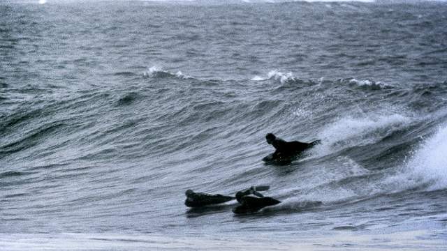 Mat surfing. Photo: Paul Gross