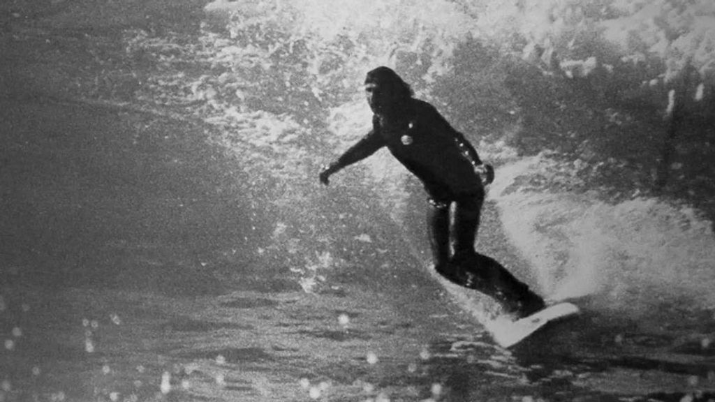 Encyclopedia of Surfing