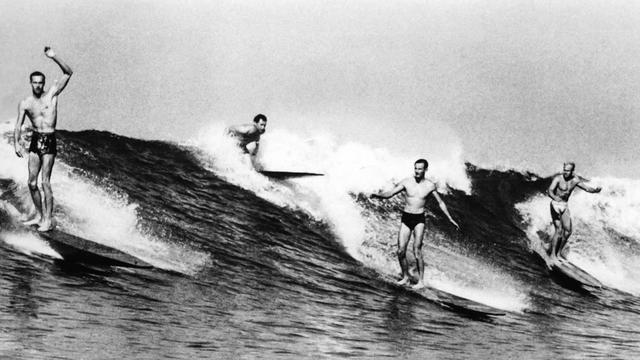 Palos Verdes Cove. Photo: Doc Ball